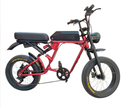 20inch Fat Tire Electric Bicycle With 7 Speed-assisted Beach Lithium Battery Mountain Bike