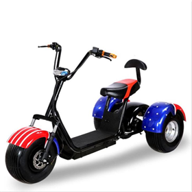 Three wheel citycoco electric scooter