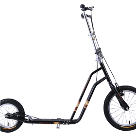 Electric Bike Scooter